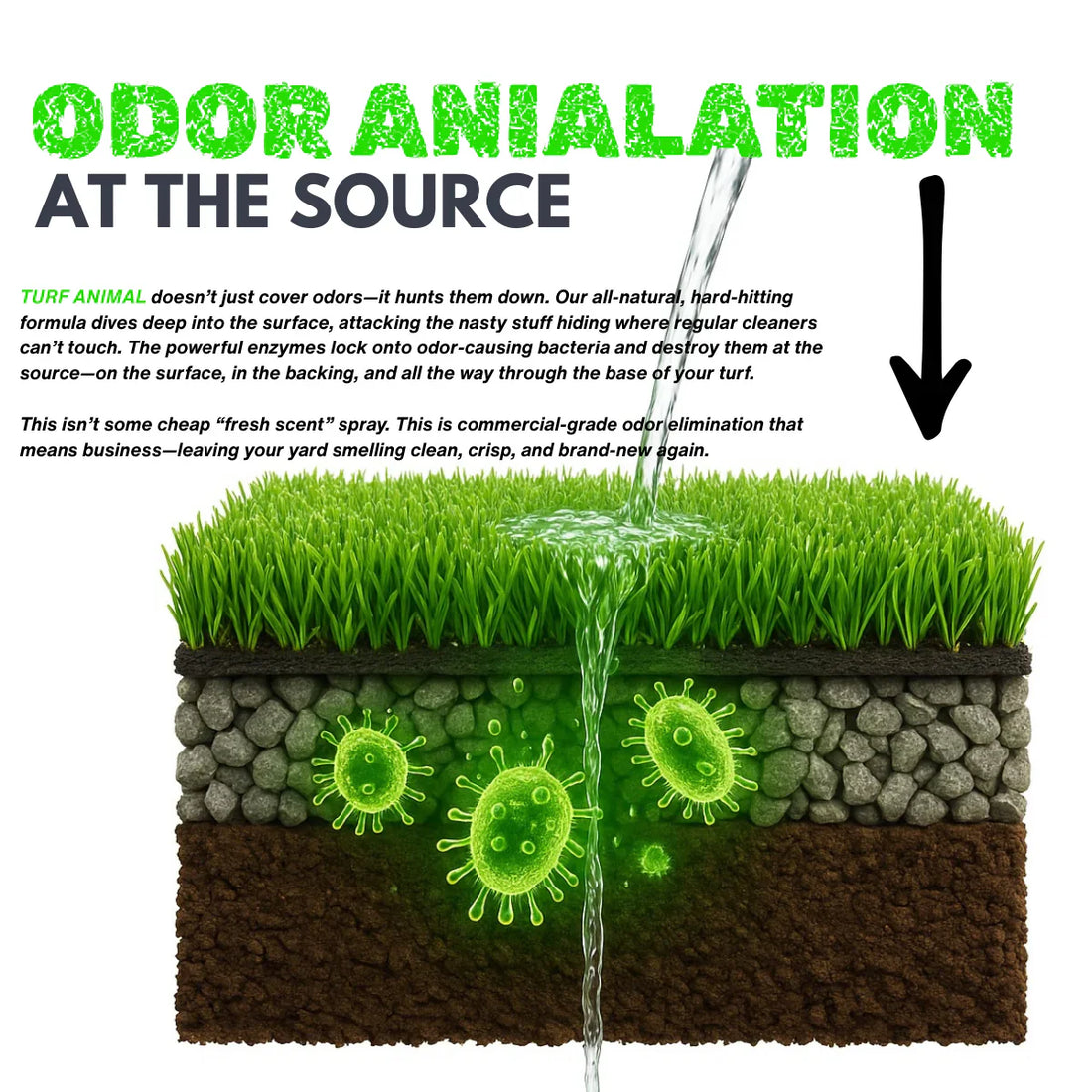Guide to Eliminating Odors at Dog Daycares