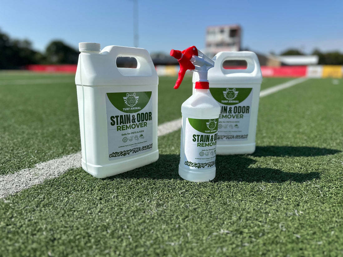 Best Artificial Turf Cleaners & Deodorizers for 2025