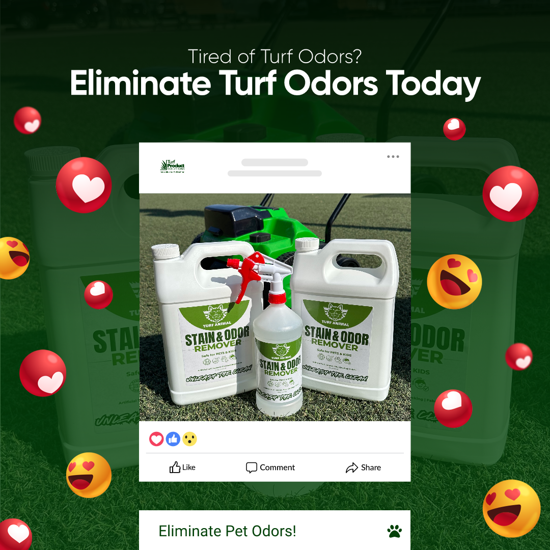 7 Mistakes You're Making with Pet Turf Cleaning (and How to Fix Them)