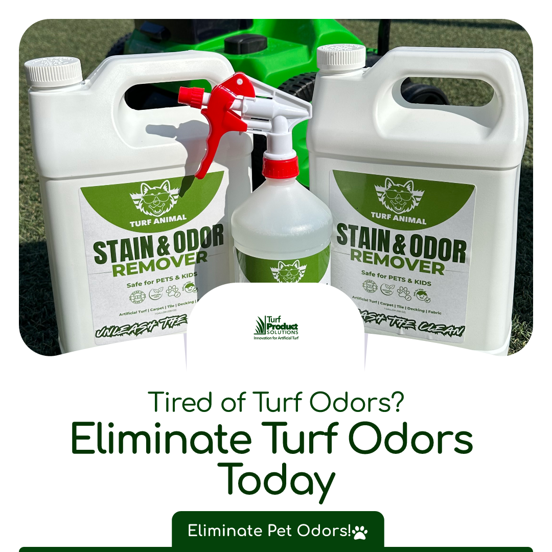 Daycare & Kennel Turf: How Facilities Can Keep Turf Fresh