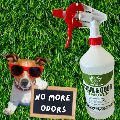 #1 Organic Artificial Turf Cleaner Turf Animal – 32oz. Concentrate
