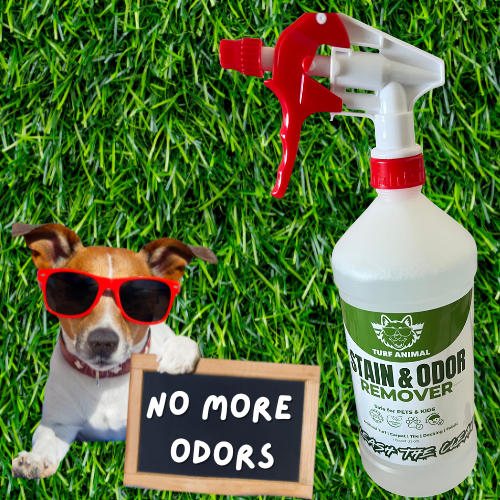 #1 Organic Artificial Turf Cleaner Turf Animal – 32oz. Concentrate